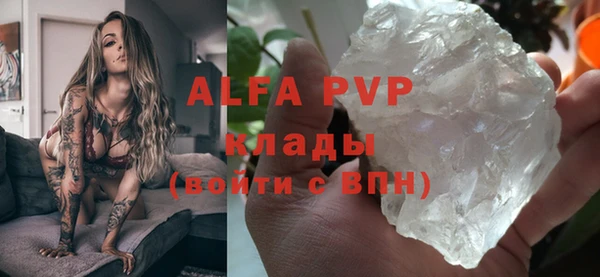 индика Костерёво