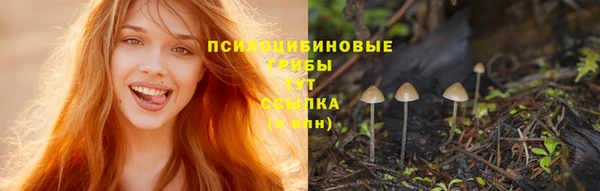 скорость Краснотурьинск