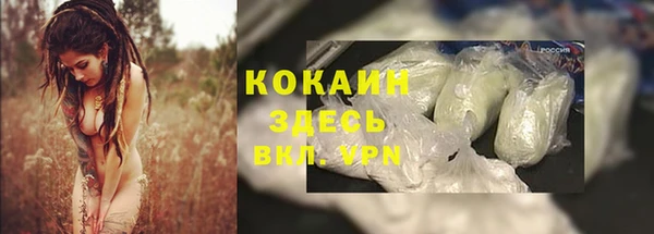 молекула духа Красноперекопск