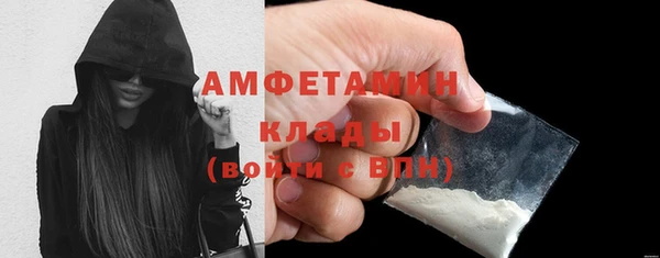 индика Костерёво