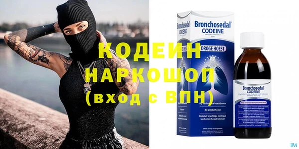 индика Костерёво