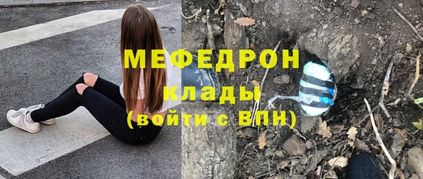 индика Костерёво