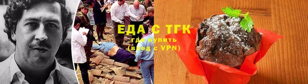 индика Костерёво