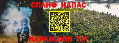 тгк Гатчина