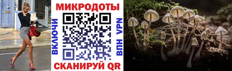 Псилоцибиновые грибы Cubensis  сколько стоит  Октябрьский 
