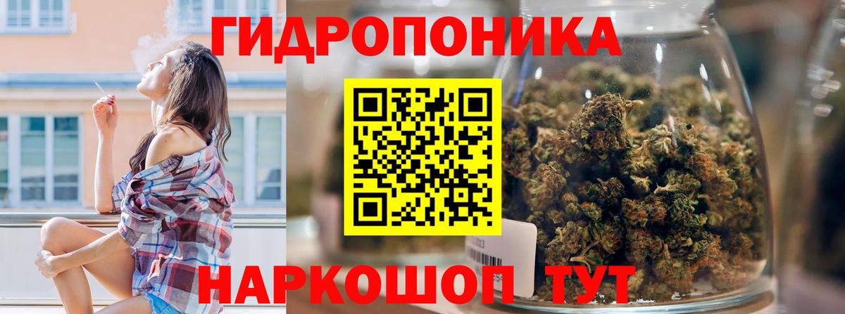 Каннабис Bruce Banner  Марихуана семена  Вход с VPN  Октябрьский 